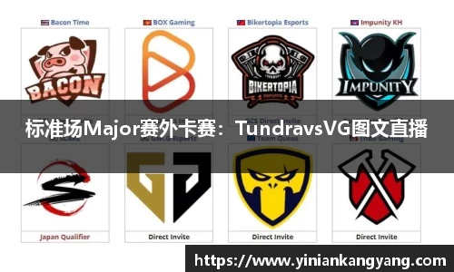 标准场Major赛外卡赛：TundravsVG图文直播