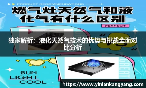 独家解析：液化天然气技术的优势与挑战全面对比分析